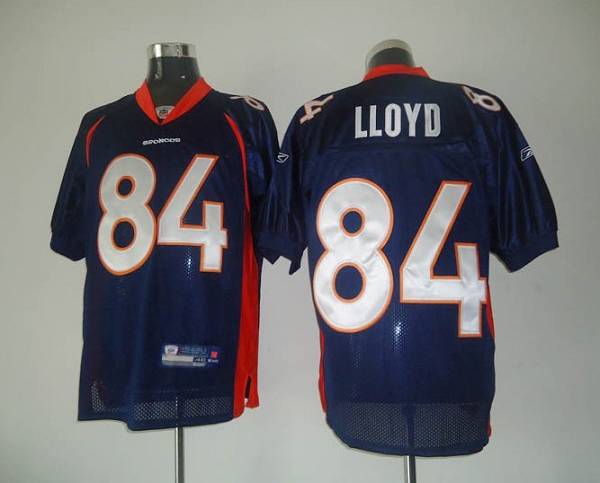Broncos #84 Brandon Lloyd Blue Stitched NFL Jersey